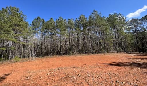 Photo #40 of SOLD property in Off Tuscarora Road, Hollister, NC 290.0 acres