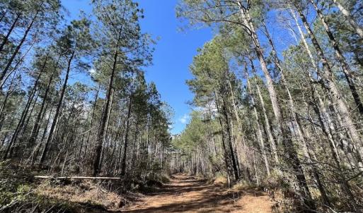 Photo #41 of SOLD property in Off Tuscarora Road, Hollister, NC 290.0 acres