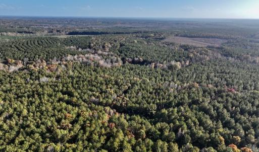 Photo #5 of SOLD property in Off Tuscarora Road, Hollister, NC 290.0 acres
