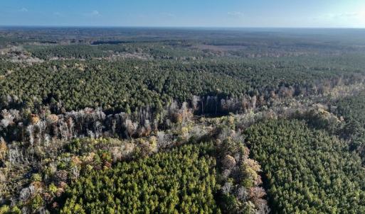 Photo #6 of SOLD property in Off Tuscarora Road, Hollister, NC 290.0 acres