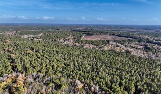 Photo #7 of SOLD property in Off Tuscarora Road, Hollister, NC 290.0 acres
