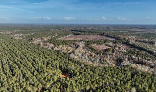 Photo #8 of SOLD property in Off Tuscarora Road, Hollister, NC 290.0 acres