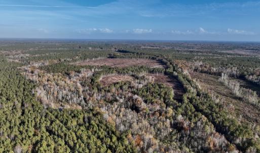 Photo #9 of SOLD property in Off Tuscarora Road, Hollister, NC 290.0 acres