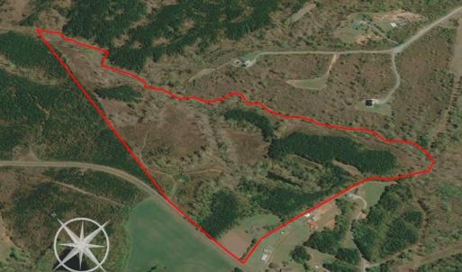 Photo #3 of Off Turner Road, Reidsville, NC 73.3 acres