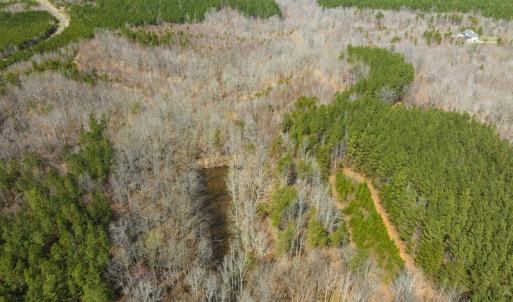 Photo #4 of SOLD property in Off Turner Road, Reidsville, NC 73.3 acres