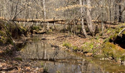 Photo #5 of Off Turner Road, Reidsville, NC 73.3 acres