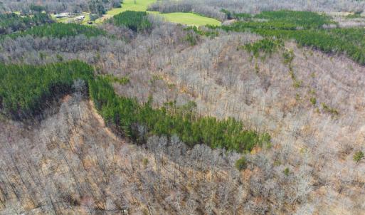Photo #7 of SOLD property in Off Turner Road, Reidsville, NC 73.3 acres