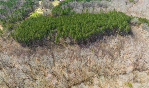 Photo #10 of SOLD property in Off Turner Road, Reidsville, NC 73.3 acres