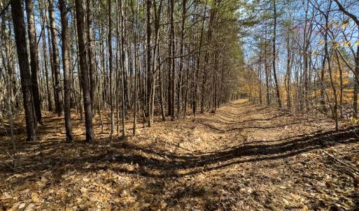 Photo #11 of SOLD property in Off Turner Road, Reidsville, NC 73.3 acres