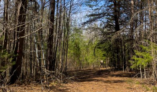 Photo #12 of Off Turner Road, Reidsville, NC 73.3 acres