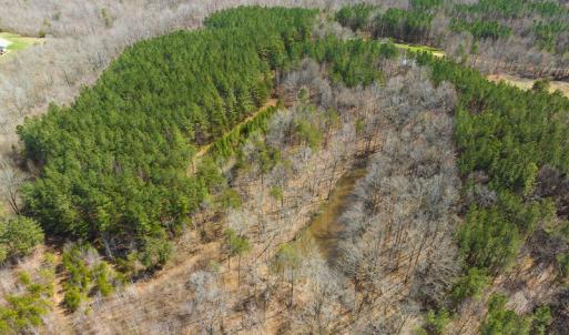 Photo #13 of SOLD property in Off Turner Road, Reidsville, NC 73.3 acres