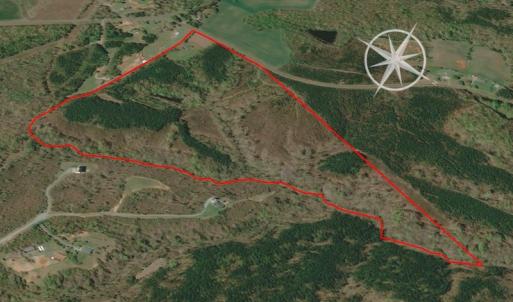 Photo #14 of Off Turner Road, Reidsville, NC 73.3 acres
