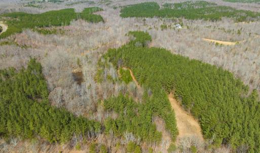 Photo #16 of SOLD property in Off Turner Road, Reidsville, NC 73.3 acres