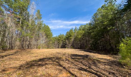 Photo #17 of Off Turner Road, Reidsville, NC 73.3 acres