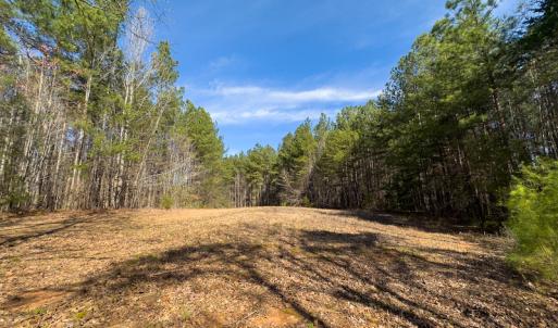 Photo #17 of SOLD property in Off Turner Road, Reidsville, NC 73.3 acres