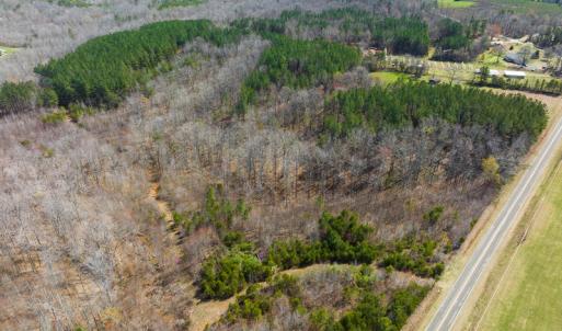 Photo #19 of SOLD property in Off Turner Road, Reidsville, NC 73.3 acres