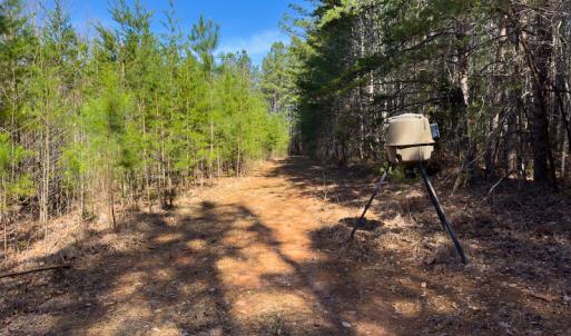 Photo #22 of Off Turner Road, Reidsville, NC 73.3 acres