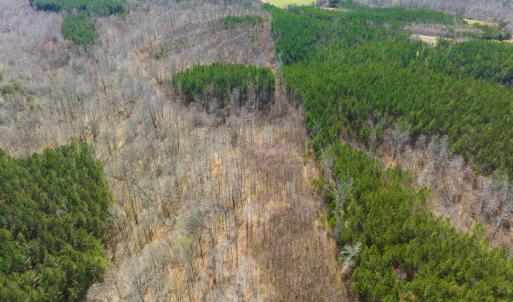 Photo #23 of Off Turner Road, Reidsville, NC 73.3 acres