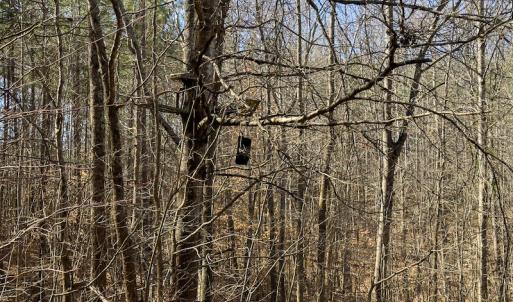 Photo #24 of Off Turner Road, Reidsville, NC 73.3 acres
