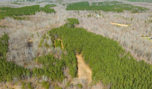 Photo #25 of SOLD property in Off Turner Road, Reidsville, NC 73.3 acres