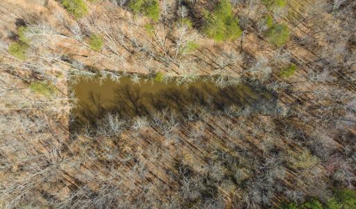 Photo #27 of Off Turner Road, Reidsville, NC 73.3 acres