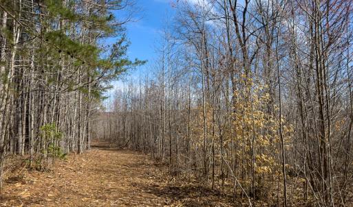 Photo #28 of Off Turner Road, Reidsville, NC 73.3 acres