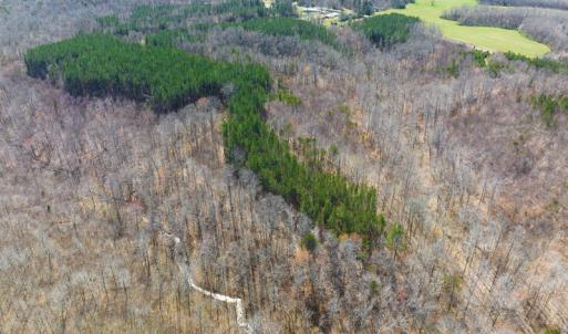 Photo #29 of Off Turner Road, Reidsville, NC 73.3 acres