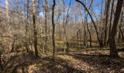 Photo #30 of Off Turner Road, Reidsville, NC 73.3 acres