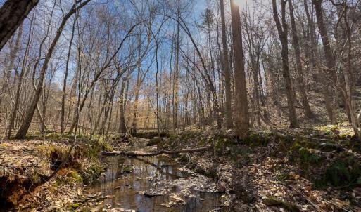 Photo #32 of Off Turner Road, Reidsville, NC 73.3 acres
