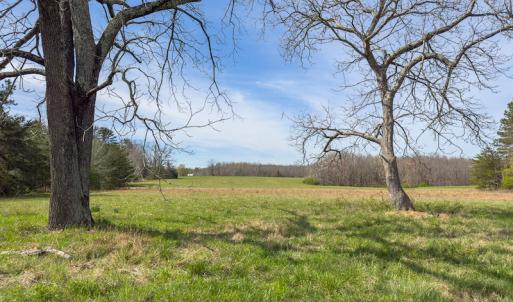 Photo #33 of SOLD property in Off Turner Road, Reidsville, NC 73.3 acres
