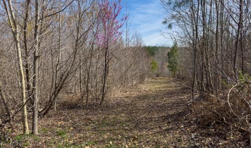 Photo #34 of SOLD property in Off Turner Road, Reidsville, NC 73.3 acres