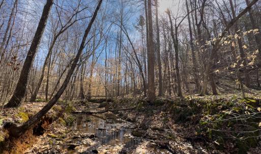 Photo #36 of SOLD property in Off Turner Road, Reidsville, NC 73.3 acres