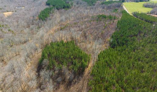 Photo #41 of Off Turner Road, Reidsville, NC 73.3 acres