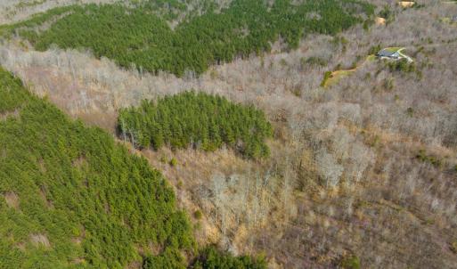 Photo #43 of Off Turner Road, Reidsville, NC 73.3 acres