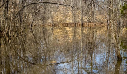 Photo #44 of Off Turner Road, Reidsville, NC 73.3 acres