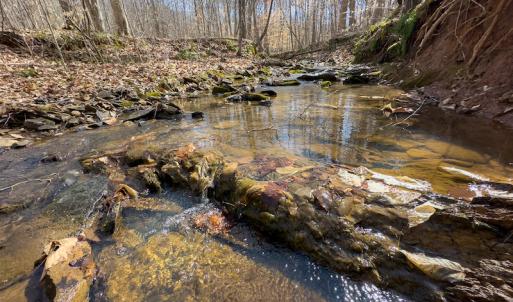 Photo #45 of SOLD property in Off Turner Road, Reidsville, NC 73.3 acres