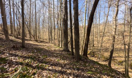 Photo #46 of SOLD property in Off Turner Road, Reidsville, NC 73.3 acres