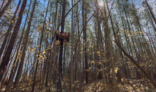 Photo #48 of Off Turner Road, Reidsville, NC 73.3 acres