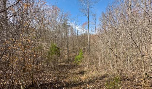 Photo #49 of SOLD property in Off Turner Road, Reidsville, NC 73.3 acres