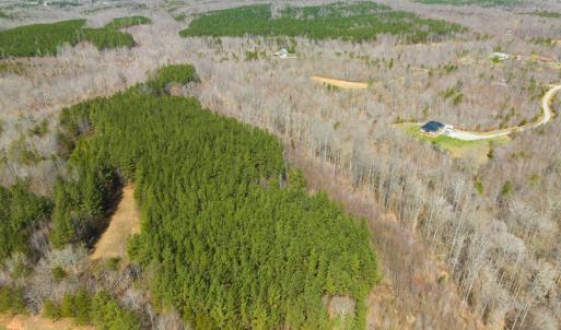 Photo #50 of Off Turner Road, Reidsville, NC 73.3 acres