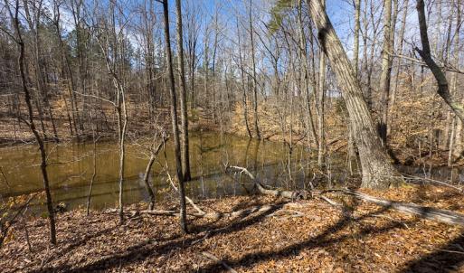 Photo #51 of SOLD property in Off Turner Road, Reidsville, NC 73.3 acres