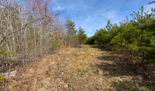 Photo #53 of SOLD property in Off Turner Road, Reidsville, NC 73.3 acres