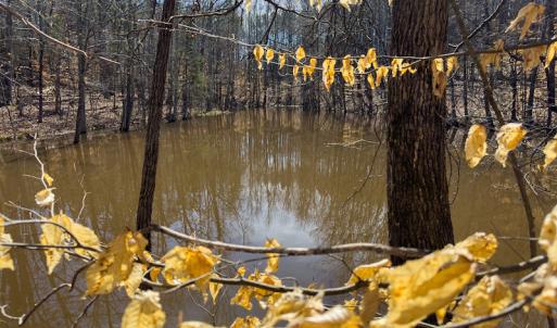 Photo #54 of Off Turner Road, Reidsville, NC 73.3 acres
