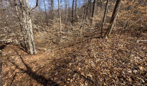 Photo #56 of SOLD property in Off Turner Road, Reidsville, NC 73.3 acres