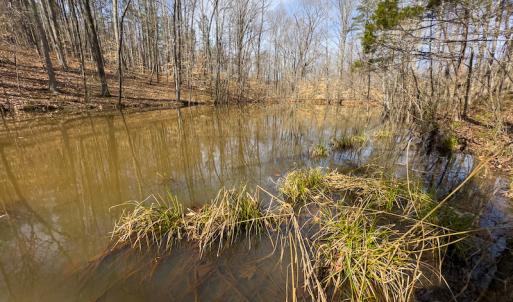 Photo #57 of Off Turner Road, Reidsville, NC 73.3 acres
