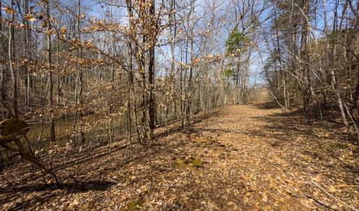 Photo #58 of Off Turner Road, Reidsville, NC 73.3 acres