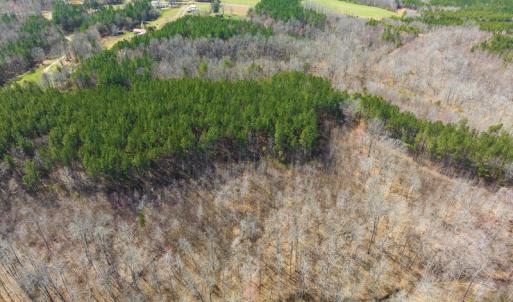 Photo #59 of SOLD property in Off Turner Road, Reidsville, NC 73.3 acres