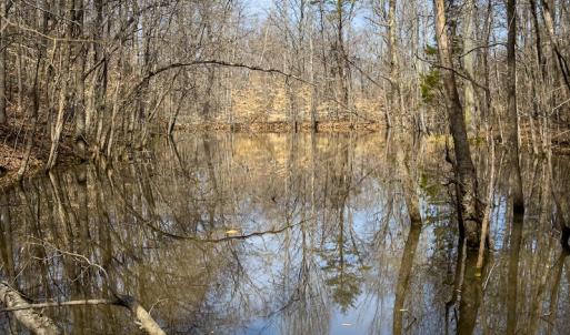 Photo #60 of SOLD property in Off Turner Road, Reidsville, NC 73.3 acres