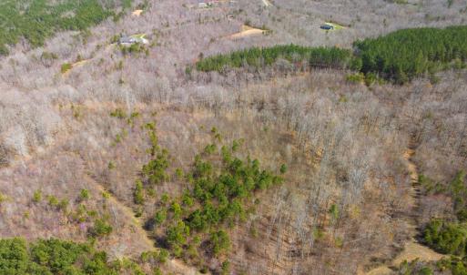 Photo #62 of SOLD property in Off Turner Road, Reidsville, NC 73.3 acres