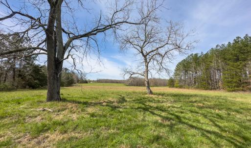 Photo #68 of SOLD property in Off Turner Road, Reidsville, NC 73.3 acres